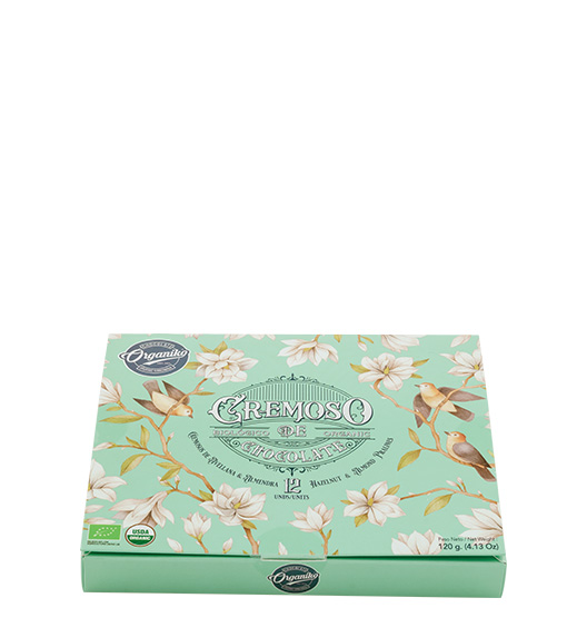 Bio Schokoladenpralinen mit Haselnüssen und Mandeln